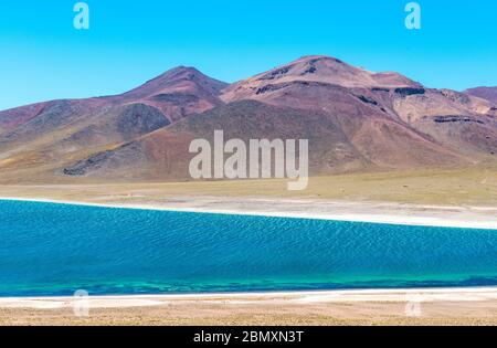 Die Miscanti Lagune in der Atacama Wüste, Chile. Stockfoto