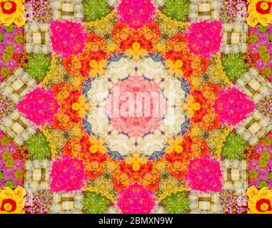 Bunte Blumen wurden bearbeitet, um wie ein Kaleidoskop zu sehen Stockfoto