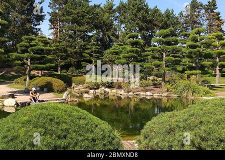 Fischbeobachtung in einem Teich im Nordpark in Düsseldorf, Deutschland Stockfoto