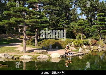 Fischbeobachtung in einem Teich im Nordpark in Düsseldorf, Deutschland Stockfoto