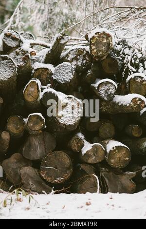 Schneiden Sie Holz Stapel für einen Kamin im Freien im Winter Schnee gestapelt Stockfoto