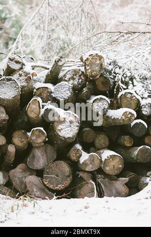 Schneiden Sie Holz Stapel für einen Kamin im Freien im Winter Schnee gestapelt Stockfoto