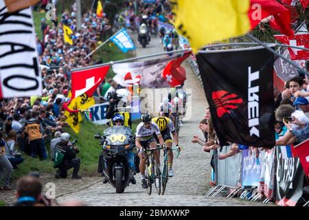 2016 Flandern-Rundfahrt 3. April. Peter Sagan von (Tinkoff) führt das Rennen bei der 100. Tour of in die Endbesteigung des Paterbergs Stockfoto