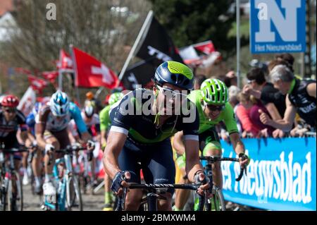 2016 Flandern-Rundfahrt 3. April. Francisco Ventoso von (Movistar) auf dem Paterberg während der 100. Flandern-Rundfahrt von Brügge nach Oude Stockfoto