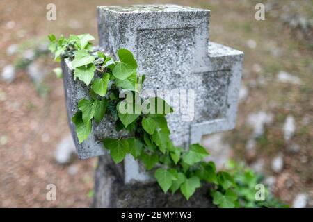 Friedhof des Ersten Weltkriegs in Gorjansko, Slowenien, wo Soldaten der österreichisch-ungarischen Armee begraben sind, die zwischen 1915-1917 in Schlachten des Isonzo gestorben sind Stockfoto