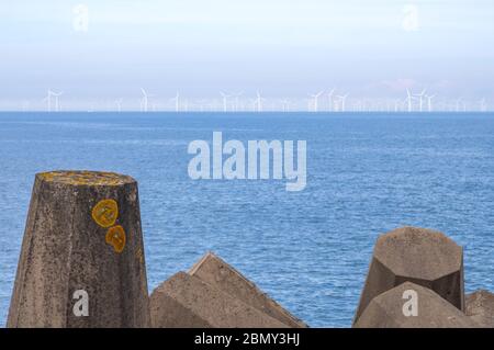 Gwynt y Môr Offshore-Windpark von der Wellenbrecher auf dem North Wales Expressway A55 mit Dolos / Dolosse im Vordergrund gwynt y mor Stockfoto