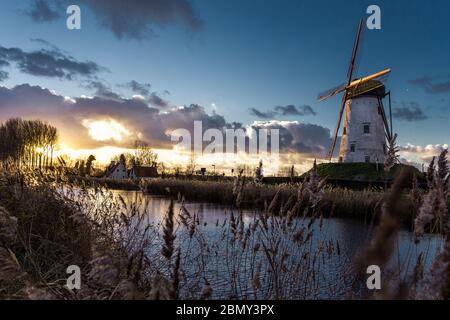 Schöne Windmühle in Damme, Belgien Stockfoto