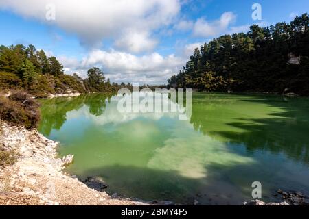 Lake Ngakoro, Wai-O-Tapu, Reporoa Caldera, in der neuseeländischen Vulkanzone Taupo. Stockfoto