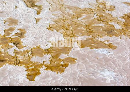 Primrose Terrace, Wai-O-Tapu, Reporoa Caldera, in der neuseeländischen Taupo Volcanic Zone. Stockfoto