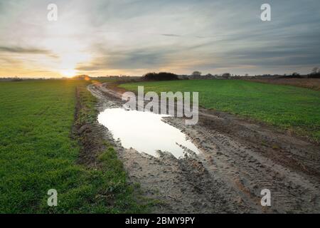 Pfütze nach Regen auf einer schlammigen Feldstraße, grünen Feldern und Wolken während der Schönheit Sonnenuntergang Stockfoto