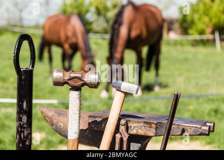 Werkzeuge für die Arbeit mit dem Schmied: Amboss, Zange, Hammer und Hufeisen. Im Hintergrund grasen zwei Pferde auf einer grünen Wiese. Stockfoto