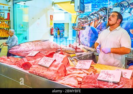 CADIZ, SPANIEN - 24. SEPTEMBER 2019: Der junge Thunfischhändler loud wirbt für seinen rohen frischen Fisch im Mercado Central de Abastos, am 24. September in CAD Stockfoto