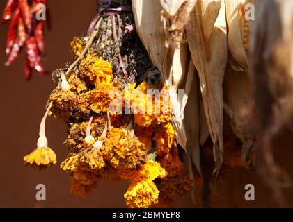 Lokale Produkte von Gewürzen und Blumen, die nach der Ernte in ländlichen nepalesischen Dörfern getrocknet werden. Stockfoto