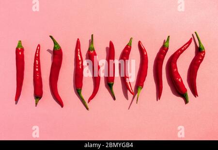 Rote Chilischoten horizontale Reihe auf rosa Hintergrund. Draufsicht. Paprika flach legen. Stockfoto