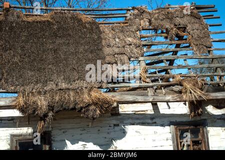 Altes verfallenen Holzhaus mit weiß getünchten Wänden und Strohdach undicht Dach gegen den Himmel. Das perforierte Dach und der Himmel durch sie sind mehr sichtbar Stockfoto