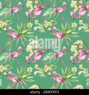 Tropischer Flamingo und Plumeria Blumen nahtlose Muster Stockfoto