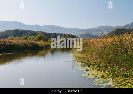 Eine schöne Aussicht auf den Skadar-See, kleinen Fluss zu Virpazar Dorf von Rohr umgeben, und Dinarische Alpen in Montenegro, Nationalpark, berühmte Touristen Stockfoto