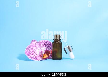 Eine kosmetische Glasflasche und eine schöne lila Orchidee auf dem blauen Hintergrund. Naturkosmetik Konzept. Stockfoto