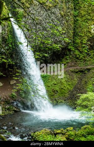 Horsetail Falls liegt 2.75 Meilen östlich von Multnomah Falls am historischen Columbia River Highway, Oregon, USA Stockfoto