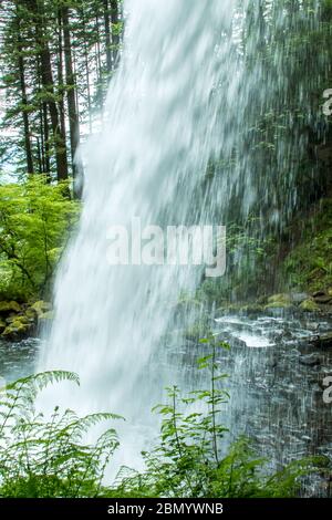 Blick von unter Horsetail Falls, das 2.75 Meilen östlich von Multnomah Falls auf dem historischen Columbia River Highway, Oregon, USA liegt Stockfoto