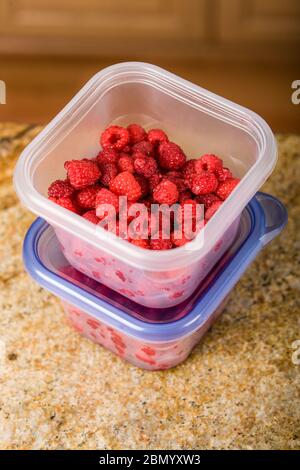 Frische Himbeeren können in kleinen Chargen gepflückt, in Kunststoffbehälter gegeben und gefroren werden, bis genügend Menge für die Marmelade vorhanden ist. Stockfoto