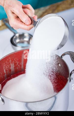 Frau, die Zucker in pürierte Beeren für die Konfitüre gießt. Wenn Zucker zu den pürierten Beeren hinzugefügt wird, löst sich dieser im Erdbeersaft auf. Stockfoto