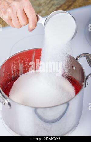 Frau, die Zucker in pürierte Beeren für die Konfitüre gießt. Wenn Zucker zu den pürierten Beeren hinzugefügt wird, löst sich dieser im Erdbeersaft auf. Stockfoto