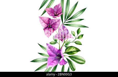 Aquarell floral nahtlose Border. Bougainvillea Blüten, Palmblätter in sich wiederholenden Muster. Handgemalter tropischer Hintergrund. Botanische Illustrationen Stockfoto