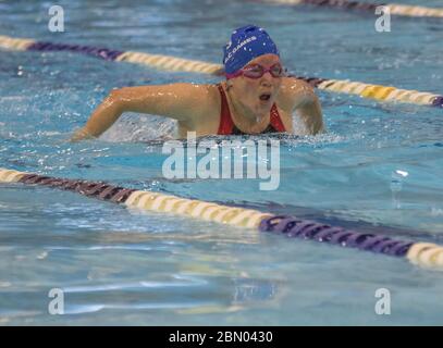 Senior Ladies Butterlfy Schwimmwettbewerb Stockfoto