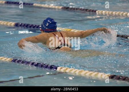 Senior Ladies Butterlfy Schwimmwettbewerb Stockfoto