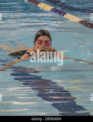 Senior Ladies Butterlfy Schwimmwettbewerb Stockfoto