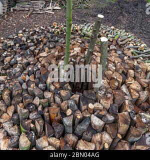 Holzkohlenofen vor der Zündung in Grevenbroich, Deutschland Stockfoto