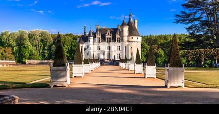 Elegante Chenonceau Burg - schöne Schlösser des Loire-Tals in Frankreich Stockfoto