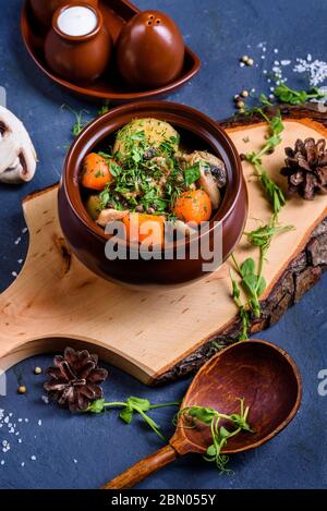 Pilze und Gemüse in einem Topf, mit Kartoffeln und Pilzen eintopfen. Draufsicht Stockfoto