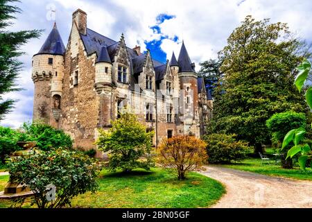 Schöne romantische Schlösser des Loire-Tals - Schloss Montresor. Berühmte Schlösser und Wahrzeichen Frankreichs Stockfoto