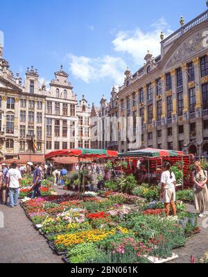 Blumenmarkt auf dem Grand Place (Grote Markt), Brüssel-Ville, Brüssel, Königreich Belgien Stockfoto