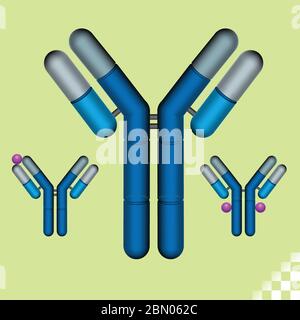 Antikörper des Immunsystems oder Medikament zur Bekämpfung von Alien, Bakterien, Grippeviren, Corana-Viren und Fremdsubstanzen im Blut Stock Vektor