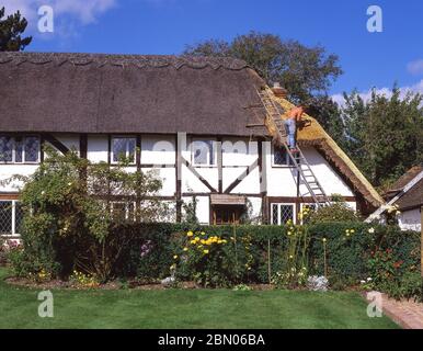 Thatcher Reparatur Strohdach auf Hütte, in der Nähe von Romsey, Hampshire, England, Großbritannien Stockfoto