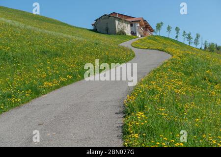 Straße, die das Haus mit den Hügeln verbindet Stockfoto