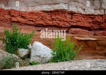 Nahaufnahme der orange geschichteten Klippen in Old Hunstanton, Norfolk mit einem großen weißen Felsen und leuchtend grünen Sträuchern davor. Stockfoto