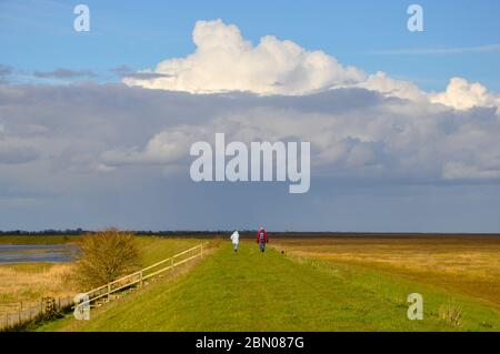 Eine riesige Cumulonimbus-Wolke hängt über einer Szene in der Wohnung Lincolnshire Fens in Großbritannien, in der zwei Personen zu Fuß in der Ferne sind. Stockfoto