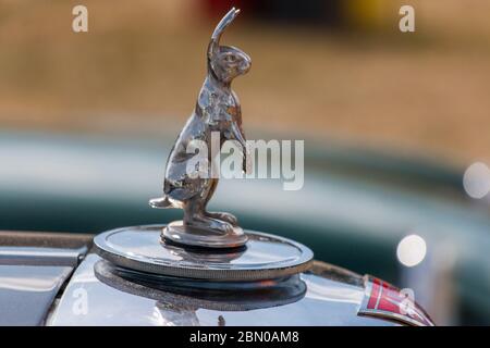 Maskottchen, Alvis Hase auf Motorhaube. Oldtimer, Automshow, Stockfoto