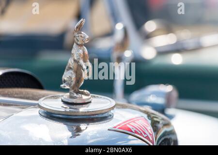 Maskottchen, Alvis Hase auf Motorhaube. Oldtimer, Automshow, Stockfoto