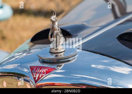 Maskottchen, Alvis Hase auf Motorhaube. Oldtimer, Automshow, Stockfoto