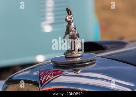 Maskottchen, Alvis Hase auf Motorhaube. Oldtimer, Automshow, Stockfoto