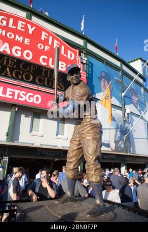 Baseball im Wrigley Field Stockfoto