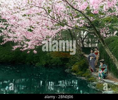 [ 1910er Japan - Lehrling Geisha bewundernd Kirschblüte ] - drei Maiko bewundern Sie den Blick auf den Garten von Fugetsuro (浮月楼) in Shizuoka während der Kirschblüte im frühen Frühjahr. Fugetsuro wurde 1869 (Meiji 2) von Tokugawa Yoshinobu (徳川 慶喜, 1837–1913), Japans letztem Shogun, gegründet. Er lebte hier 20 Jahre. 19. Jahrhundert Vintage Glas Rutsche. Stockfoto