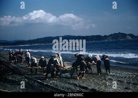 [ Japan der 1950er Jahre - Japanische Fischer bei der Arbeit ] - Japanische Fischer und Frauen bei der Arbeit, die in einem Netz am Strand in Honmoku in Yokohama, Präfektur Kanagawa, 1950er Jahre schleppen. Vintage Dia Film des 20. Jahrhunderts. Stockfoto