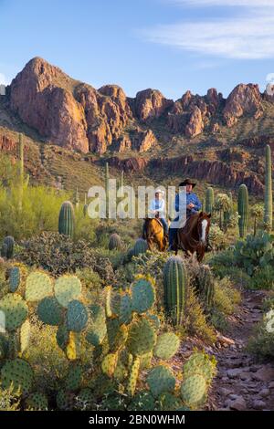 Reiten, White Stallion Ranch, Tucson, Arizona. Stockfoto