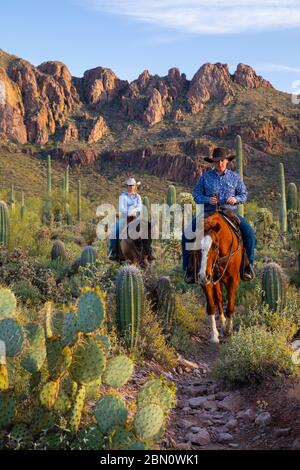 Reiten, White Stallion Ranch, Tucson, Arizona. Stockfoto